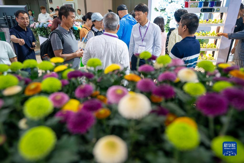 不休棋牌怎么样
